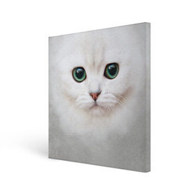 Холст квадратный с принтом Белый котик в Кировске, 100% ПВХ |  | белая кошка | киса | кот | котик | кошка