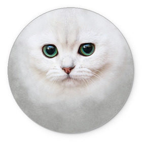 Коврик круглый с принтом Белый котик в Кировске, резина и полиэстер | круглая форма, изображение наносится на всю лицевую часть | Тематика изображения на принте: белая кошка | киса | кот | котик | кошка