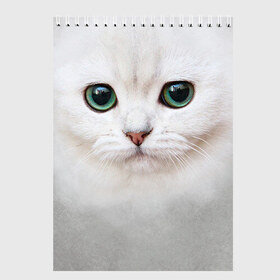 Скетчбук с принтом Белый котик в Кировске, 100% бумага
 | 48 листов, плотность листов — 100 г/м2, плотность картонной обложки — 250 г/м2. Листы скреплены сверху удобной пружинной спиралью | белая кошка | киса | кот | котик | кошка