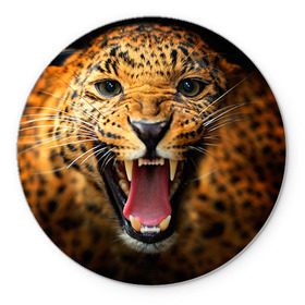 Коврик круглый с принтом Леопард в Кировске, резина и полиэстер | круглая форма, изображение наносится на всю лицевую часть | киса | кошка | леопард | хищник