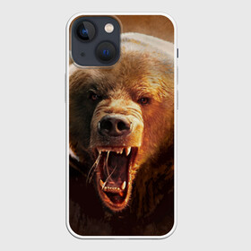 Чехол для iPhone 13 mini с принтом Медведь в Кировске,  |  | Тематика изображения на принте: медведь | мишка