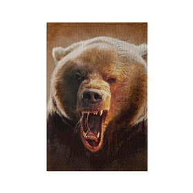 Обложка для паспорта матовая кожа с принтом Медведь в Кировске, натуральная матовая кожа | размер 19,3 х 13,7 см; прозрачные пластиковые крепления | медведь | мишка