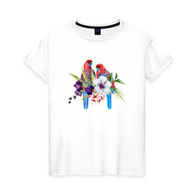 Женская футболка хлопок с принтом Попугаи в Кировске, 100% хлопок | прямой крой, круглый вырез горловины, длина до линии бедер, слегка спущенное плечо | myparrots | акварель | попугаи | птиц | розелла | цветы