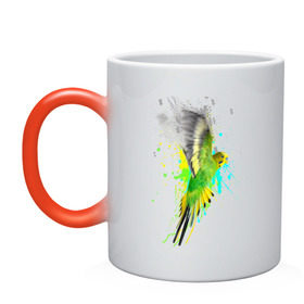 Кружка хамелеон с принтом Волнистый попугай в Кировске, керамика | меняет цвет при нагревании, емкость 330 мл | myparrots | попугаи | птицы | цветы
