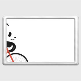 Магнит 45*70 с принтом Панда на велосипеде в Кировске, Пластик | Размер: 78*52 мм; Размер печати: 70*45 | Тематика изображения на принте: панда