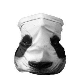 Бандана-труба 3D с принтом Панда в Кировске, 100% полиэстер, ткань с особыми свойствами — Activecool | плотность 150‒180 г/м2; хорошо тянется, но сохраняет форму | панда