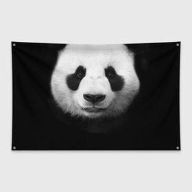 Флаг-баннер с принтом Панда в Кировске, 100% полиэстер | размер 67 х 109 см, плотность ткани — 95 г/м2; по краям флага есть четыре люверса для крепления | панда