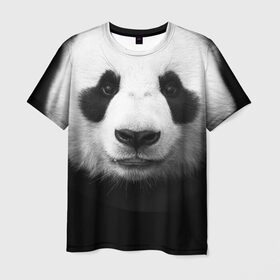 Мужская футболка 3D с принтом Панда в Кировске, 100% полиэфир | прямой крой, круглый вырез горловины, длина до линии бедер | Тематика изображения на принте: панда