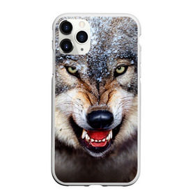 Чехол для iPhone 11 Pro матовый с принтом Волк в Кировске, Силикон |  | Тематика изображения на принте: волк | животные | злой волк | зубы | оскал