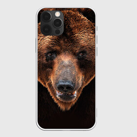 Чехол для iPhone 12 Pro с принтом Медведь в Кировске, силикон | область печати: задняя сторона чехла, без боковых панелей | Тематика изображения на принте: бурый | гризли | животные | медведь | мишка