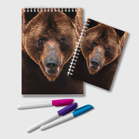 Блокнот с принтом Медведь в Кировске, 100% бумага | 48 листов, плотность листов — 60 г/м2, плотность картонной обложки — 250 г/м2. Листы скреплены удобной пружинной спиралью. Цвет линий — светло-серый
 | бурый | гризли | животные | медведь | мишка