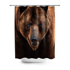 Штора 3D для ванной с принтом Медведь в Кировске, 100% полиэстер | плотность материала — 100 г/м2. Стандартный размер — 146 см х 180 см. По верхнему краю — пластиковые люверсы для креплений. В комплекте 10 пластиковых колец | бурый | гризли | животные | медведь | мишка