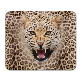 Коврик прямоугольный с принтом Леопард в Кировске, натуральный каучук | размер 230 х 185 мм; запечатка лицевой стороны | животные | зубы | киса | киска | кошка | леопард | оскал