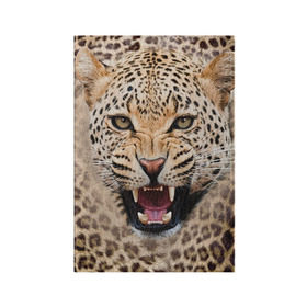 Обложка для паспорта матовая кожа с принтом Леопард в Кировске, натуральная матовая кожа | размер 19,3 х 13,7 см; прозрачные пластиковые крепления | животные | зубы | киса | киска | кошка | леопард | оскал