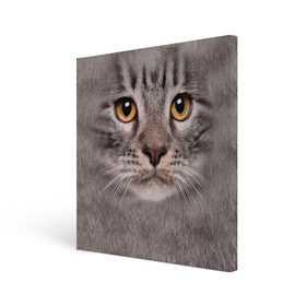 Холст квадратный с принтом Котик в Кировске, 100% ПВХ |  | животное | киса | кот | котик | кошка