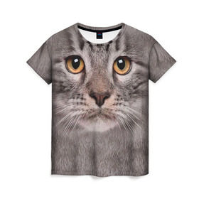 Женская футболка 3D с принтом Котик в Кировске, 100% полиэфир ( синтетическое хлопкоподобное полотно) | прямой крой, круглый вырез горловины, длина до линии бедер | животное | киса | кот | котик | кошка