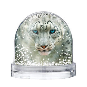 Снежный шар с принтом Снежный барс в Кировске, Пластик | Изображение внутри шара печатается на глянцевой фотобумаге с двух сторон | барс | животные | кошка | снежный барс
