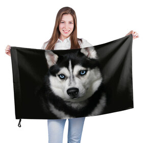 Флаг 3D с принтом Хаски в Кировске, 100% полиэстер | плотность ткани — 95 г/м2, размер — 67 х 109 см. Принт наносится с одной стороны | животные | собака | хаски