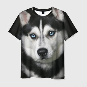 Мужская футболка 3D с принтом Хаски в Кировске, 100% полиэфир | прямой крой, круглый вырез горловины, длина до линии бедер | животные | собака | хаски