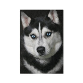 Обложка для паспорта матовая кожа с принтом Хаски в Кировске, натуральная матовая кожа | размер 19,3 х 13,7 см; прозрачные пластиковые крепления | животные | собака | хаски