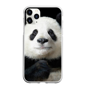 Чехол для iPhone 11 Pro матовый с принтом Панда в Кировске, Силикон |  | панда
