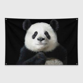 Флаг-баннер с принтом Панда в Кировске, 100% полиэстер | размер 67 х 109 см, плотность ткани — 95 г/м2; по краям флага есть четыре люверса для крепления | панда