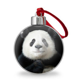 Ёлочный шар с принтом Панда в Кировске, Пластик | Диаметр: 77 мм | Тематика изображения на принте: панда