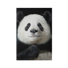 Обложка для паспорта матовая кожа с принтом Панда в Кировске, натуральная матовая кожа | размер 19,3 х 13,7 см; прозрачные пластиковые крепления | панда
