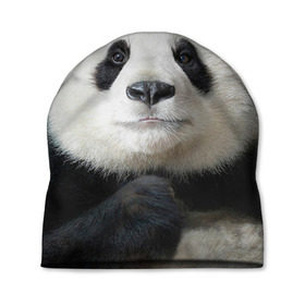 Шапка 3D с принтом Панда в Кировске, 100% полиэстер | универсальный размер, печать по всей поверхности изделия | панда