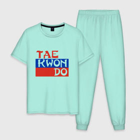 Мужская пижама хлопок с принтом Taekwondo Россия в Кировске, 100% хлопок | брюки и футболка прямого кроя, без карманов, на брюках мягкая резинка на поясе и по низу штанин
 | тхэквондо