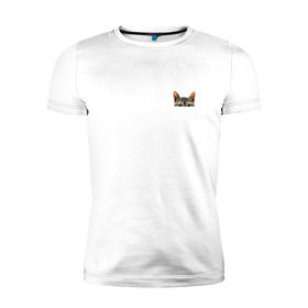 Мужская футболка премиум с принтом Кот в кармашке в Кировске, 92% хлопок, 8% лайкра | приталенный силуэт, круглый вырез ворота, длина до линии бедра, короткий рукав | в кармане | киса | кот | коты | кошки | подглядывающий