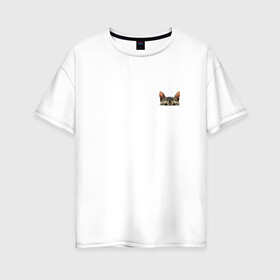 Женская футболка хлопок Oversize с принтом Кот в кармашке в Кировске, 100% хлопок | свободный крой, круглый ворот, спущенный рукав, длина до линии бедер
 | в кармане | киса | кот | коты | кошки | подглядывающий