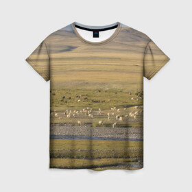 Женская футболка 3D с принтом Долина жизни в Кировске, 100% полиэфир ( синтетическое хлопкоподобное полотно) | прямой крой, круглый вырез горловины, длина до линии бедер | алтай | горы | долина | камни | пастбище в горной долинеживотные | пески | пустыни | рек
