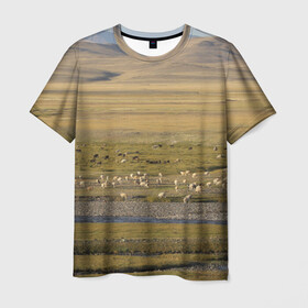 Мужская футболка 3D с принтом Долина жизни в Кировске, 100% полиэфир | прямой крой, круглый вырез горловины, длина до линии бедер | Тематика изображения на принте: алтай | горы | долина | камни | пастбище в горной долинеживотные | пески | пустыни | рек