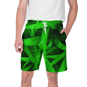 Мужские шорты 3D с принтом Трава в Кировске,  полиэстер 100% | прямой крой, два кармана без застежек по бокам. Мягкая трикотажная резинка на поясе, внутри которой широкие завязки. Длина чуть выше колен | зеленый | макро | яркий