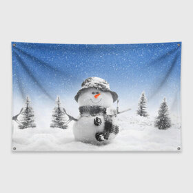 Флаг-баннер с принтом Снеговик в Кировске, 100% полиэстер | размер 67 х 109 см, плотность ткани — 95 г/м2; по краям флага есть четыре люверса для крепления | 2016 | winter | год | зима | мартышка | новогодний | новый | обезьяна | обезьянка | подарок | с новым годом | снег | снеговик