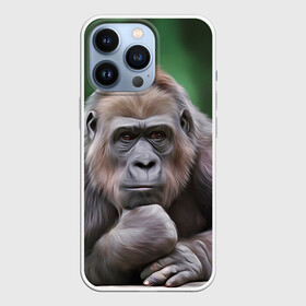 Чехол для iPhone 13 Pro с принтом Обезьяна в Кировске,  |  | 2016 | мартышка | обезьяна | с новым годом | символ нг