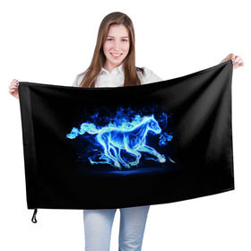 Флаг 3D с принтом Ледяной конь в Кировске, 100% полиэстер | плотность ткани — 95 г/м2, размер — 67 х 109 см. Принт наносится с одной стороны | Тематика изображения на принте: арт | лёд | лошадь | огонь | пламя