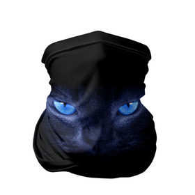 Бандана-труба 3D с принтом Кошка с голубыми глазами в Кировске, 100% полиэстер, ткань с особыми свойствами — Activecool | плотность 150‒180 г/м2; хорошо тянется, но сохраняет форму | глаза | кот | синий