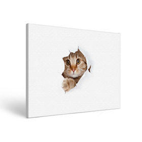 Холст прямоугольный с принтом Котик в Кировске, 100% ПВХ |  | Тематика изображения на принте: кот | котенок | котик | кошка | милый