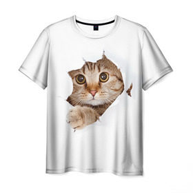 Мужская футболка 3D с принтом Котик в Кировске, 100% полиэфир | прямой крой, круглый вырез горловины, длина до линии бедер | кот | котенок | котик | кошка | милый