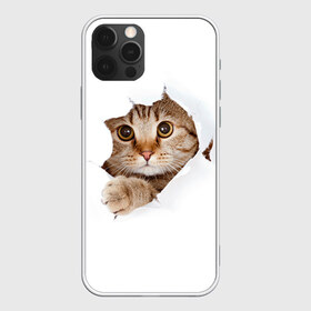 Чехол для iPhone 12 Pro Max с принтом Котик в Кировске, Силикон |  | кот | котенок | котик | кошка | милый