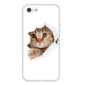 Чехол для iPhone 5/5S матовый с принтом Котик в Кировске, Силикон | Область печати: задняя сторона чехла, без боковых панелей | кот | котенок | котик | кошка | милый