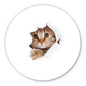 Коврик круглый с принтом Котик в Кировске, резина и полиэстер | круглая форма, изображение наносится на всю лицевую часть | кот | котенок | котик | кошка | милый