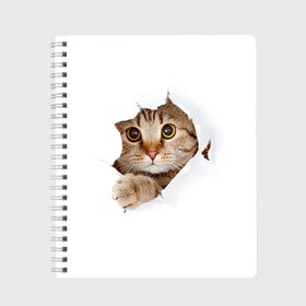Тетрадь с принтом Котик в Кировске, 100% бумага | 48 листов, плотность листов — 60 г/м2, плотность картонной обложки — 250 г/м2. Листы скреплены сбоку удобной пружинной спиралью. Уголки страниц и обложки скругленные. Цвет линий — светло-серый
 | кот | котенок | котик | кошка | милый