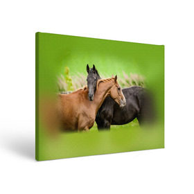 Холст прямоугольный с принтом Лошади 2 в Кировске, 100% ПВХ |  | horse | horseshoe | акварель | головалошади | грива | единорог | жеребец | животные | конь | лошадь | лошадьскрыльями | подкова | природа | рисуноккрасками