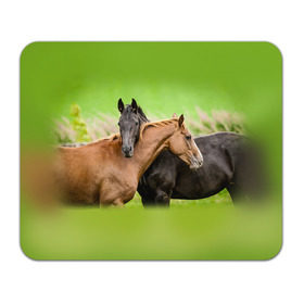 Коврик прямоугольный с принтом Лошади 2 в Кировске, натуральный каучук | размер 230 х 185 мм; запечатка лицевой стороны | horse | horseshoe | акварель | головалошади | грива | единорог | жеребец | животные | конь | лошадь | лошадьскрыльями | подкова | природа | рисуноккрасками