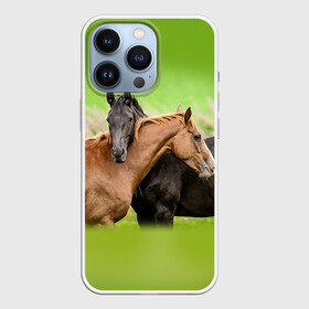 Чехол для iPhone 13 Pro с принтом Лошади 2 в Кировске,  |  | horse | horseshoe | акварель | головалошади | грива | единорог | жеребец | животные | конь | лошадь | лошадьскрыльями | подкова | природа | рисуноккрасками
