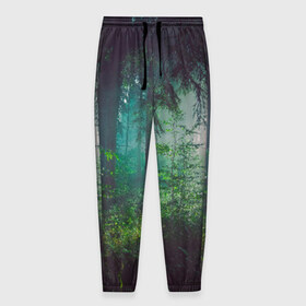 Мужские брюки 3D с принтом Таинственный лес в Кировске, 100% полиэстер | манжеты по низу, эластичный пояс регулируется шнурком, по бокам два кармана без застежек, внутренняя часть кармана из мелкой сетки | деревья | зелень | на макете изображен таинственный зеленый леслес