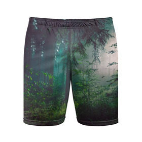 Мужские шорты 3D спортивные с принтом Таинственный лес в Кировске,  |  | Тематика изображения на принте: деревья | зелень | на макете изображен таинственный зеленый леслес